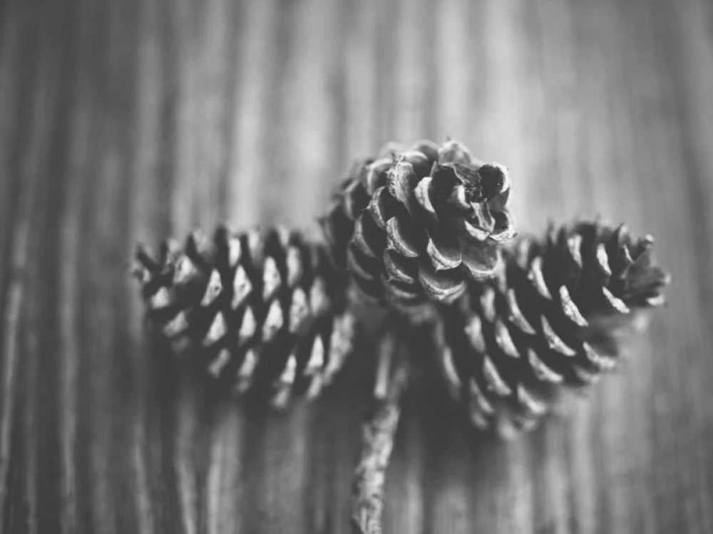 Basketballplatz Görlitzer Park